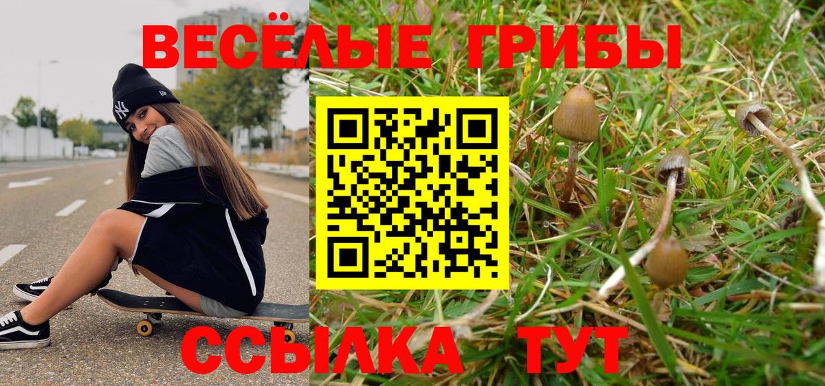 Псилоцибиновые грибы Cubensis  Псилоцибиновые грибы мухоморы  Вход с VPN  Керчь 