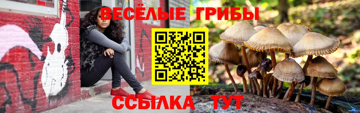 Галлюциногенные грибы Psilocybine cubensis Керчь
