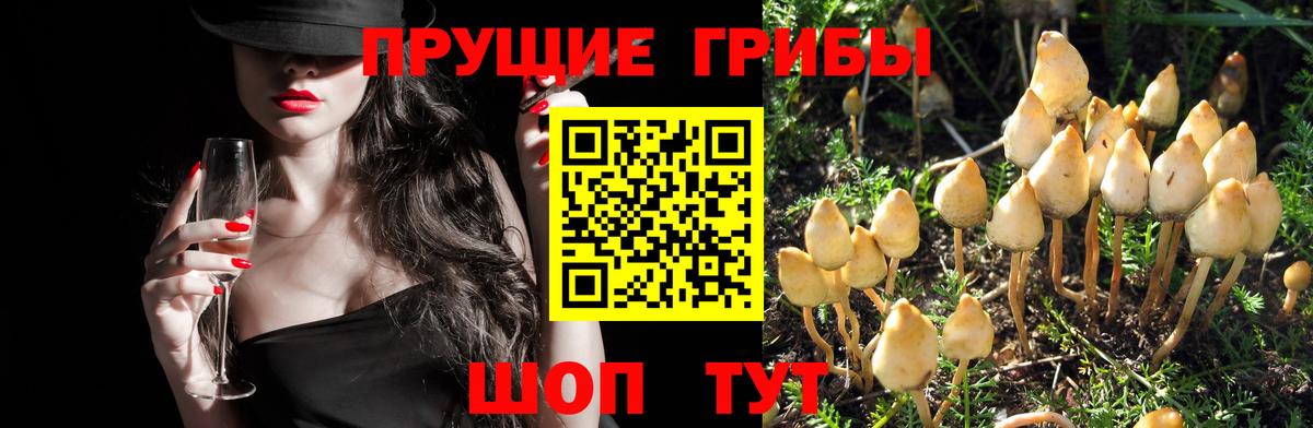 Меф МЯУ МЯУ  Конопля  А ПВП СОЛЬ кристаллы  Керчь  Вход с VPN  Мефедрон кристаллы  ГАШИШ  COCAIN 